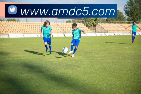 奖项图2